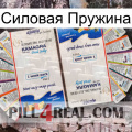 Силовая Пружина kamagra1